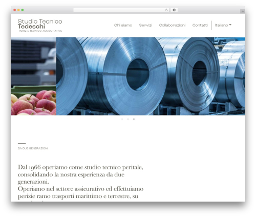UnderStrap WordPress theme - tedeschiconsult.com