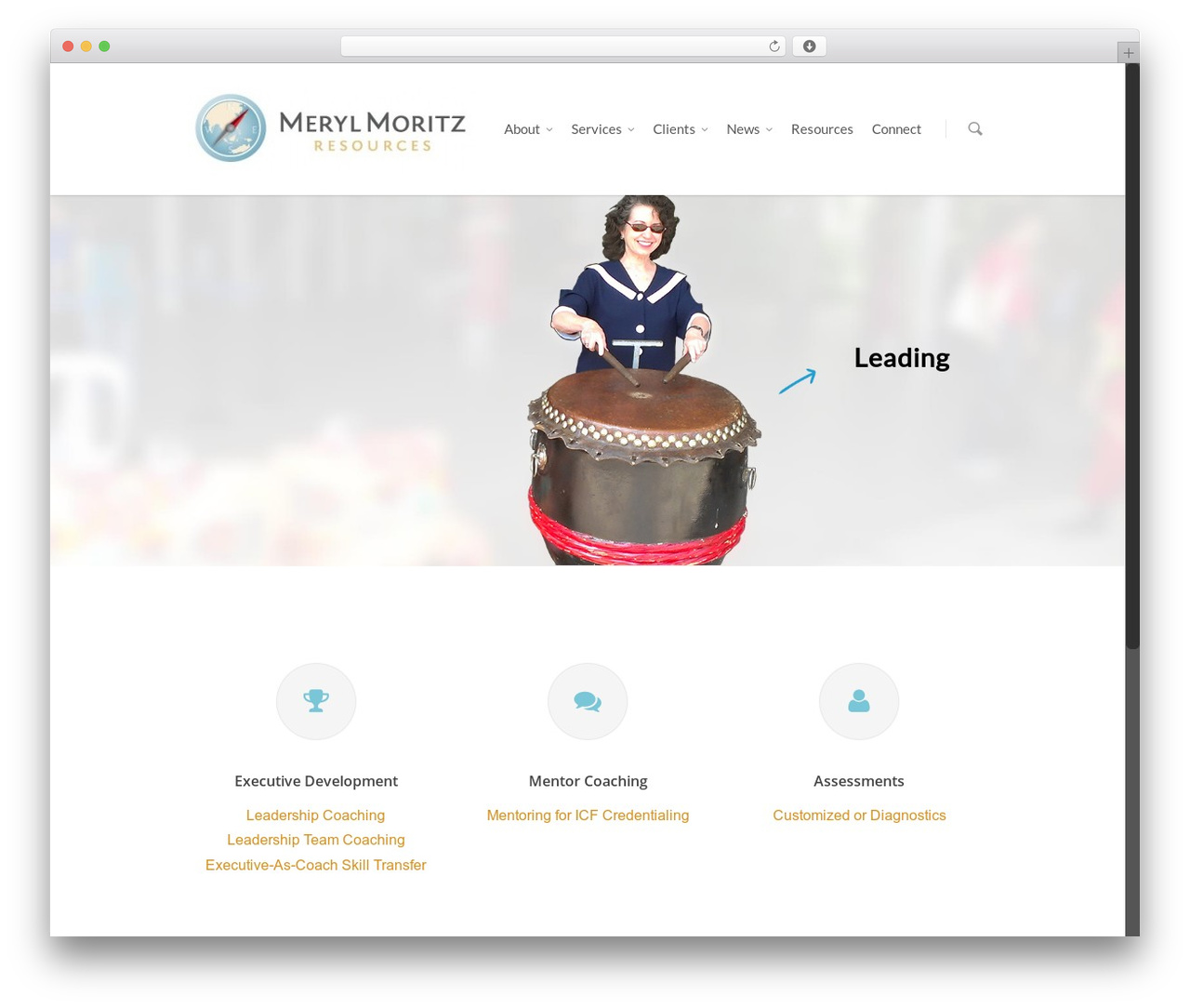 WordPress theme Salient - merylmoritzresources.com