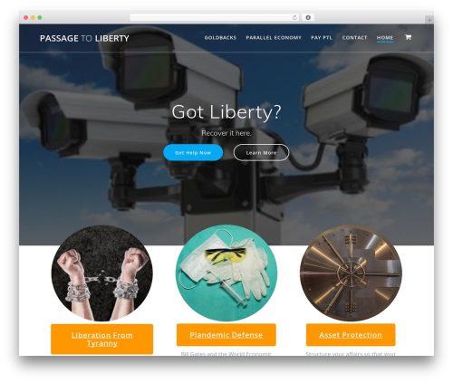 Checkout recaptcha WordPress plugin - passagetoliberty.com
