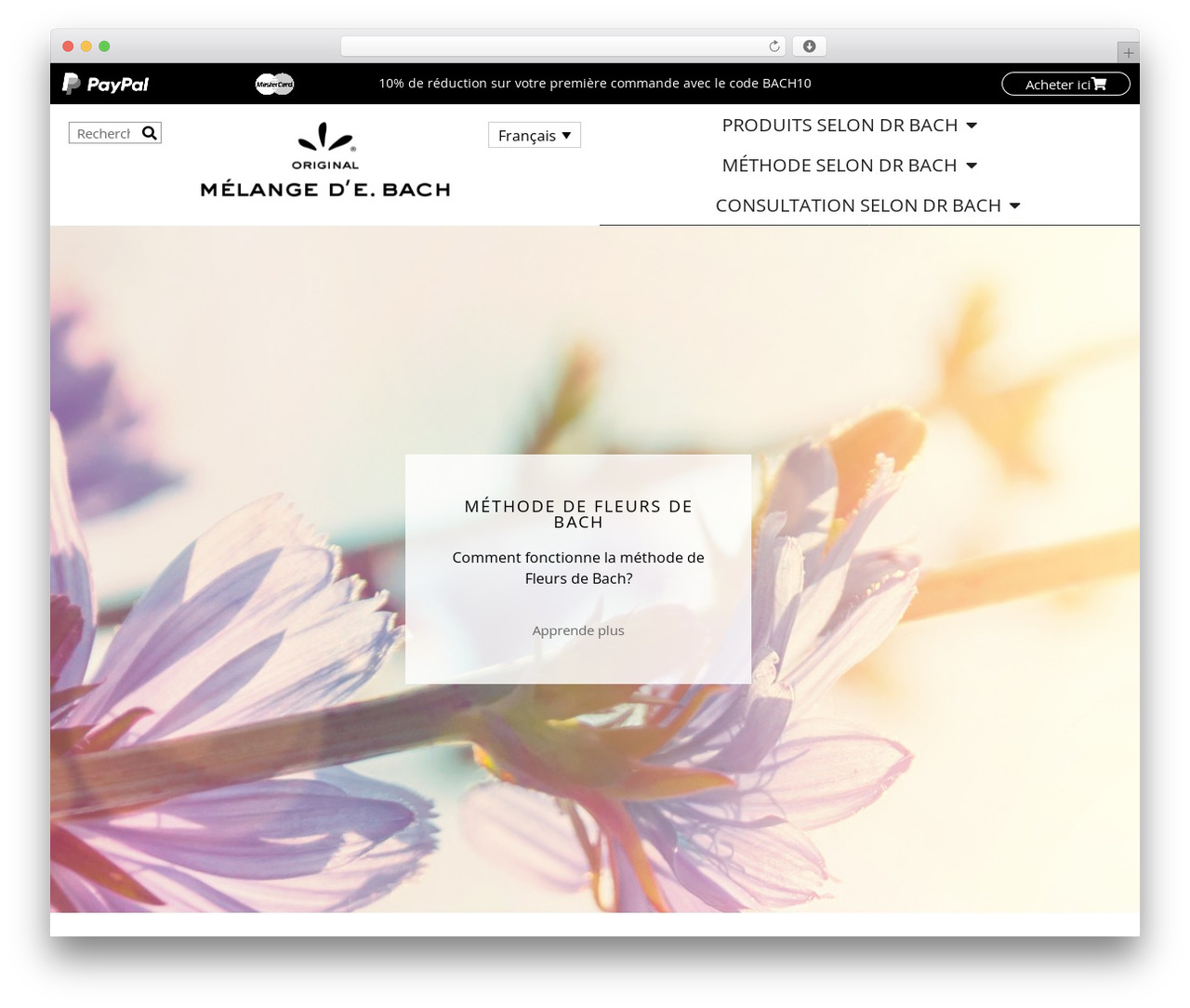 Best WordPress theme BB Theme - fleursdebach-originales.com