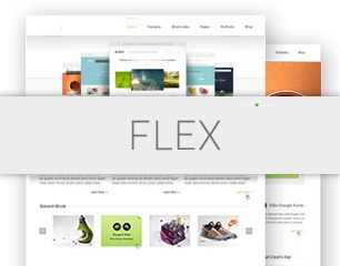 flex WordPress theme flex WordPress theme