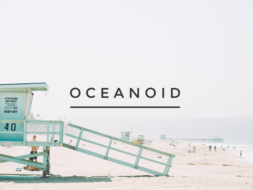 Oceanoid WordPress theme