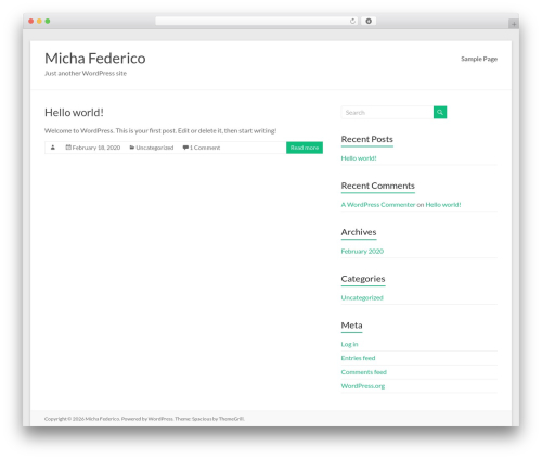 Spacious WordPress theme design - michafederico.com