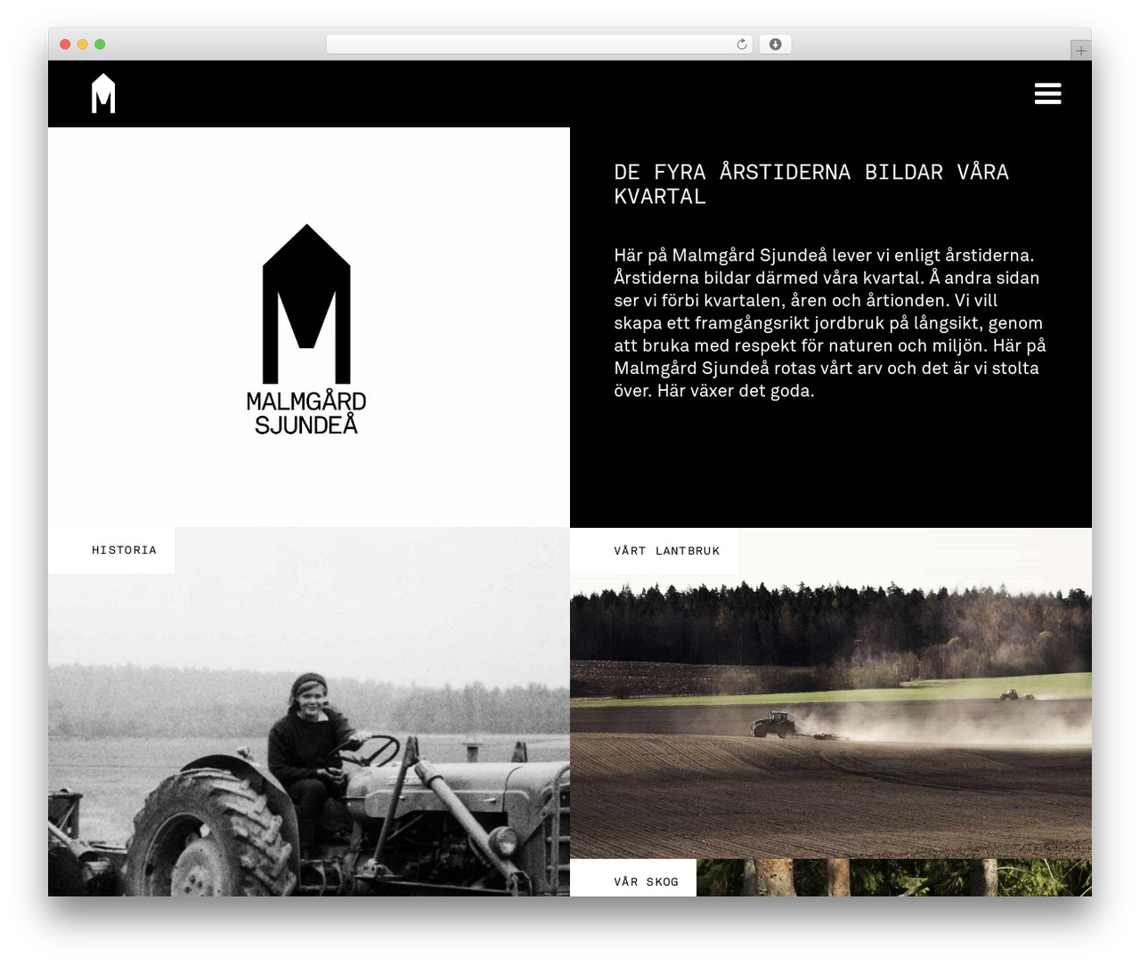 WordPress theme DMS - malmgardsjundea.fi WordPress theme DMS - malmgardsjundea.fi