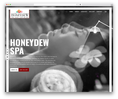 WordPress website theme Layers - honeydewsalon.in