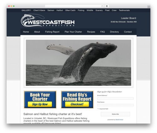 wp-forecast free WordPress plugin - westcoastfish.com