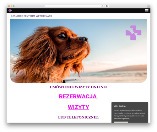Narcos theme WordPress - wetlesnica.com