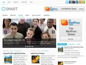 Smart WordPress blog theme by NiceThemes