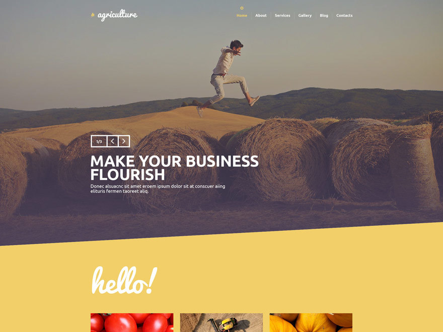 Theme WordPress theme53592 Theme WordPress theme53592