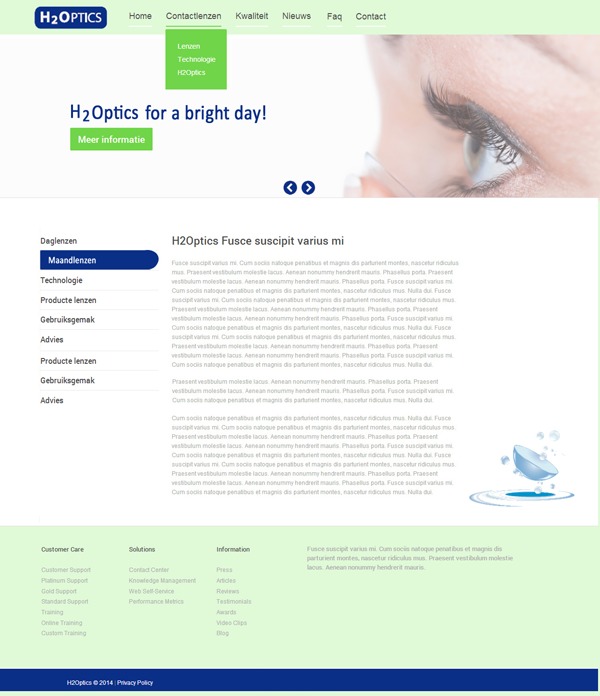 theme48302 WordPress website theme