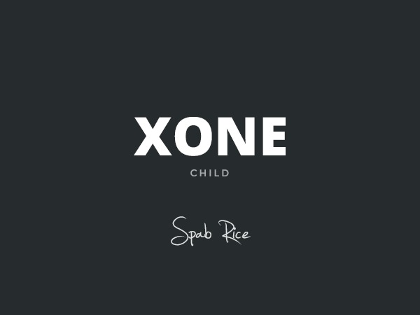 Xone Child WordPress theme design