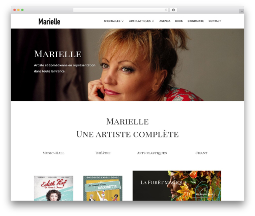 Wp hummingbird WordPress plugin - marielle.fr