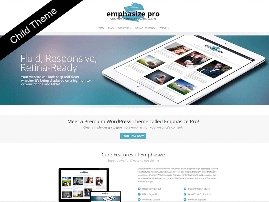 Emphasize Pro Child theme WordPress by shapedpixels.com