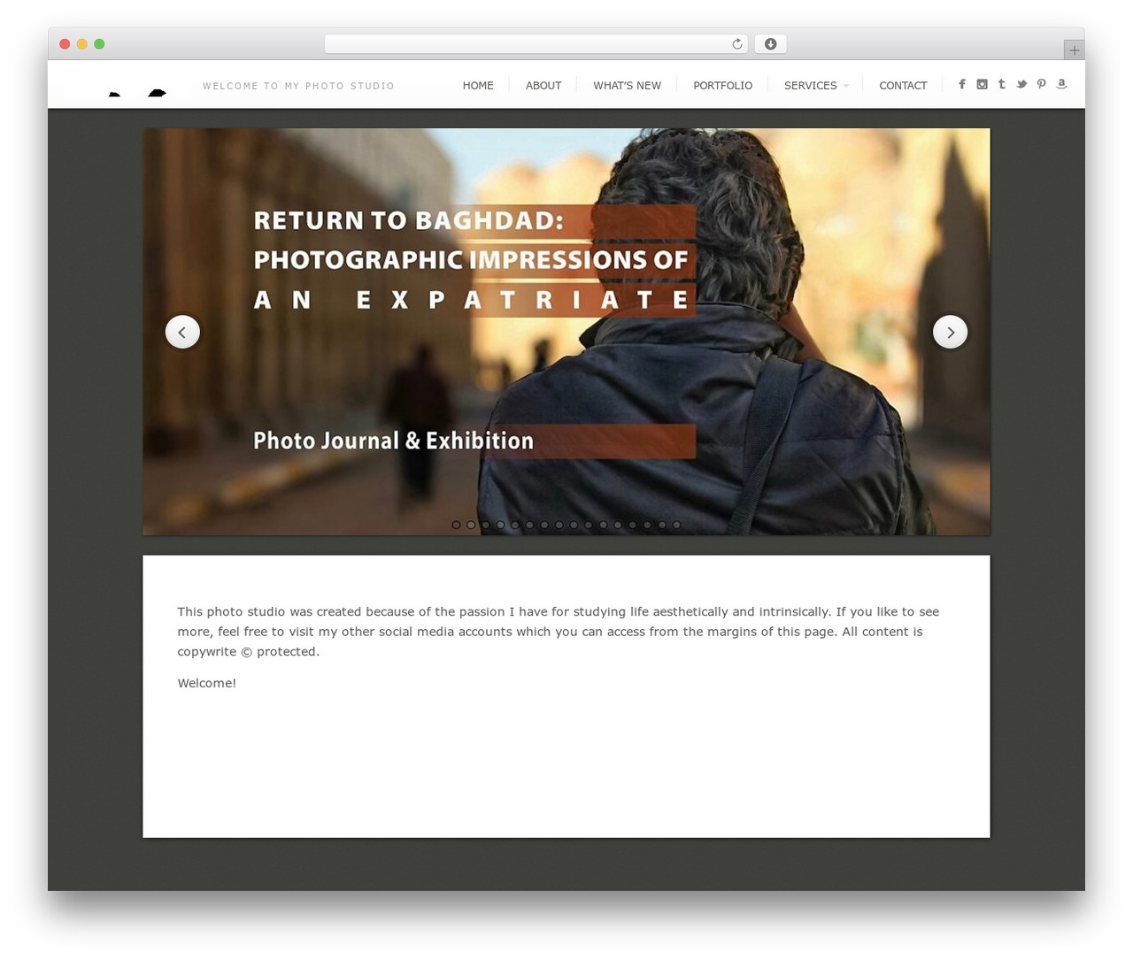 Expression WordPress theme - moshaban.com