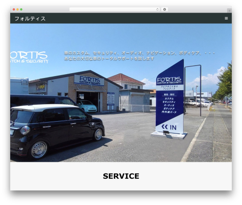 FT WordPress theme - fortis-136.com