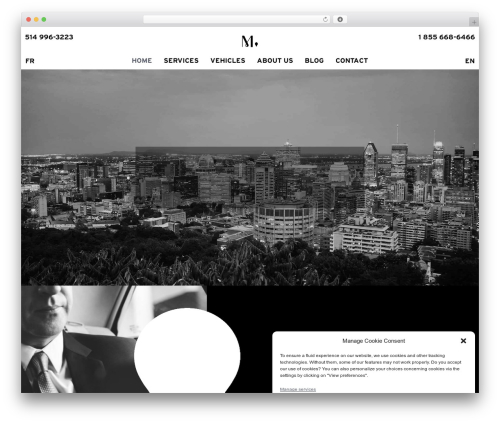 Hello Elementor free WordPress theme - mimolimousine.com