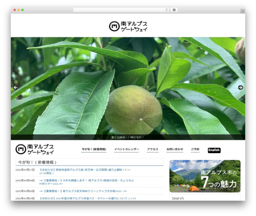 WP PageNavi Style (wp-pagenavi-style) free WordPress plugin - minamialps-gateway.com