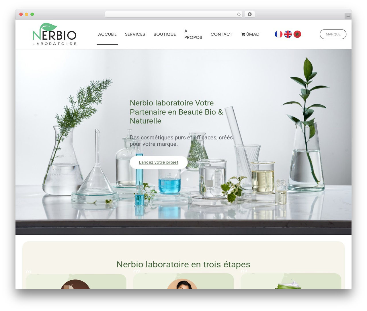 Theme WordPress Hello Elementor - nerbiolab.com Theme WordPress Hello Elementor - nerbiolab.com
