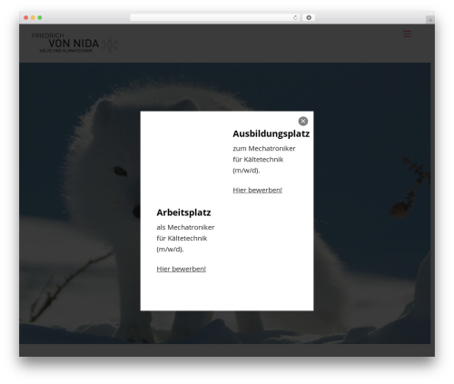 Themify Popup (themify-popup) free WordPress plugin - vonnida.com