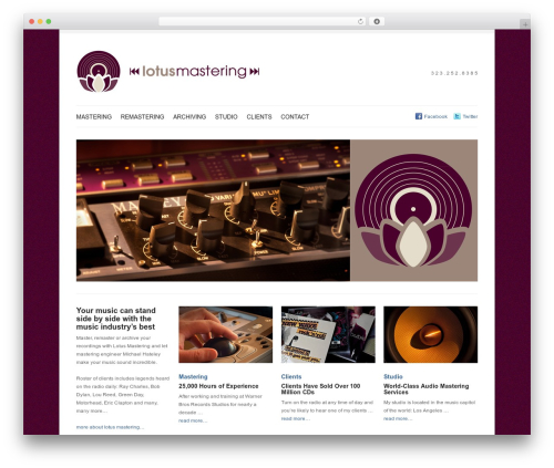 WordPress theme Brain WP - lotusmastering.com