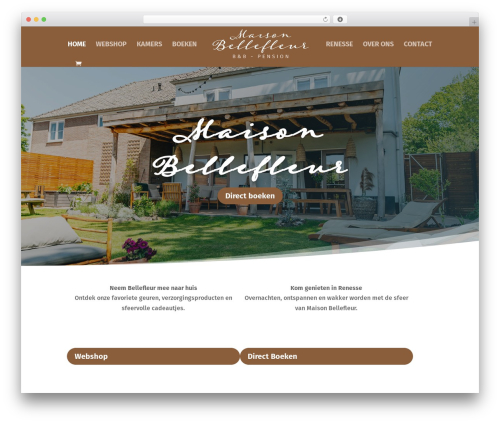 Cookie easy WordPress plugin - maison-bellefleur.nl