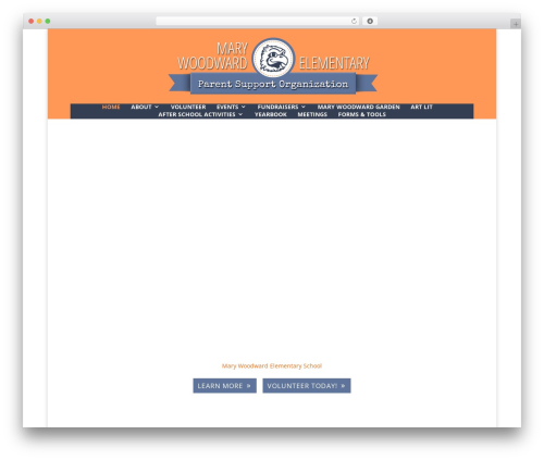 Theme WordPress Divi - marywoodwardpso.com
