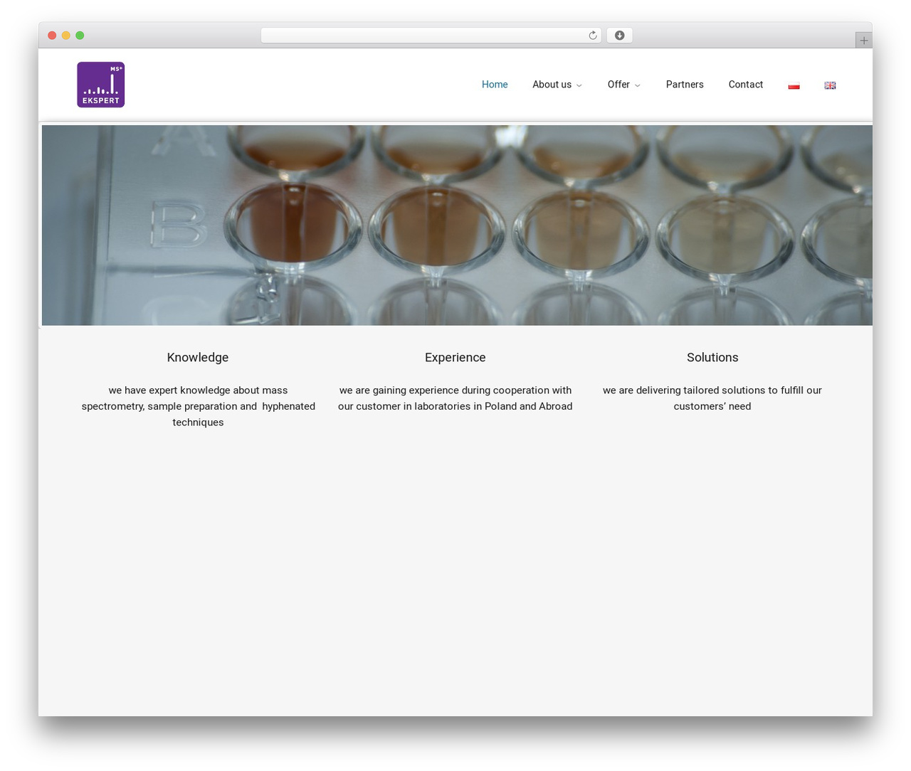 WordPress theme Everything - msekspert.com/en/home-1 WordPress theme Everything - msekspert.com/en/home-1