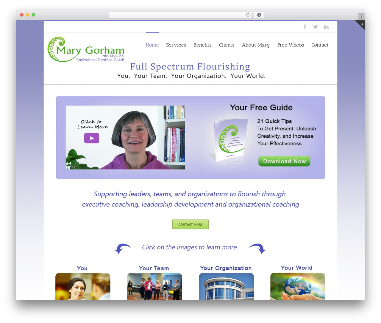 Avada WordPress theme - marygorham.com