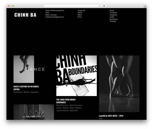 ThemeRain Core (themerain-core) free WordPress plugin - chinhba.com