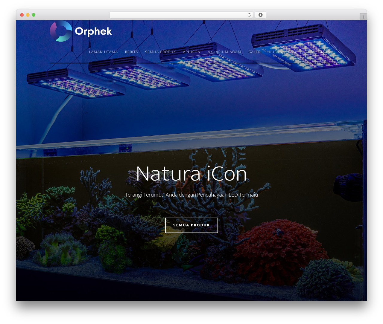 Genesis WordPress theme - ms.orphek.com