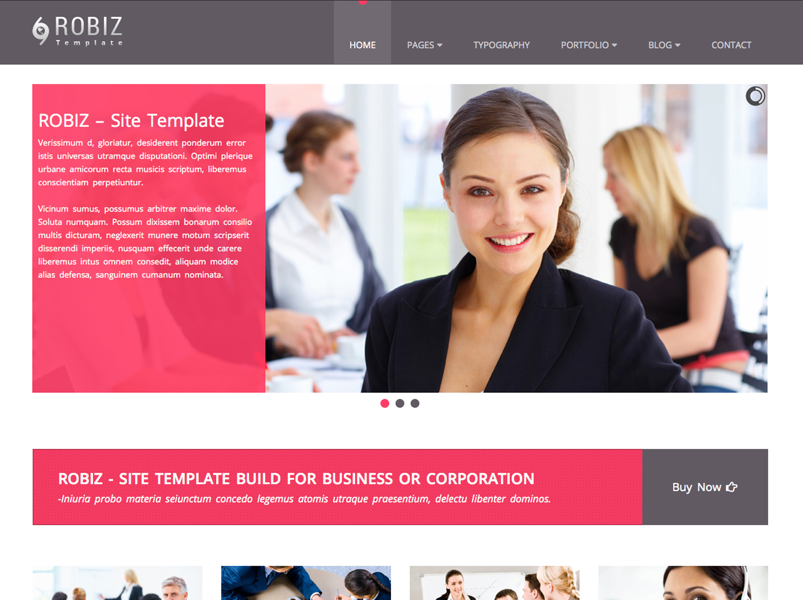 ROBIZ Theme Option WordPress theme by Pixelcoder