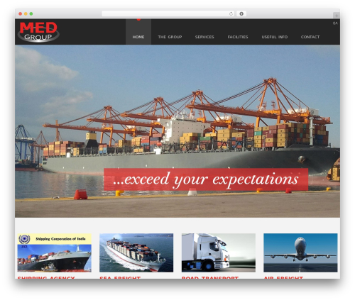 ROBIZ Theme Option WordPress theme - medgroup.gr
