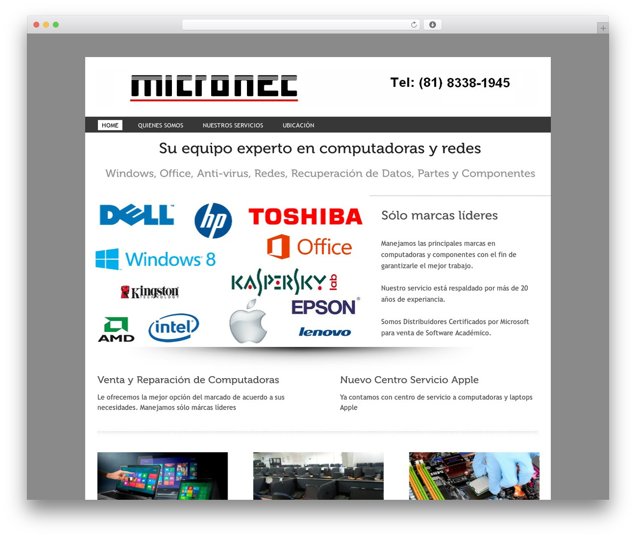 Squirrel Theme Pro WordPress page theme - micronec.net Squirrel Theme Pro WordPress page theme - micronec.net