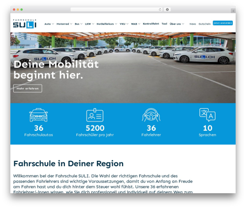 Theme WordPress incoding. Theme - suli.ch