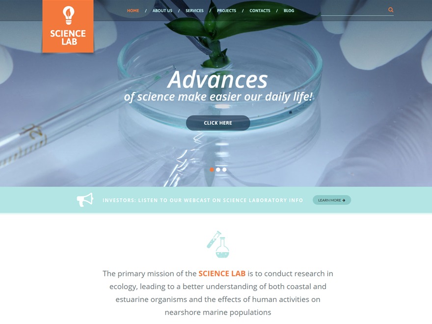 theme51392 WordPress theme theme51392 WordPress theme