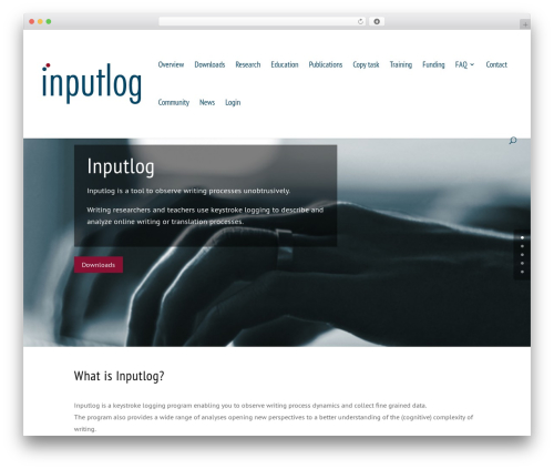 Divi WordPress theme - inputlog.net