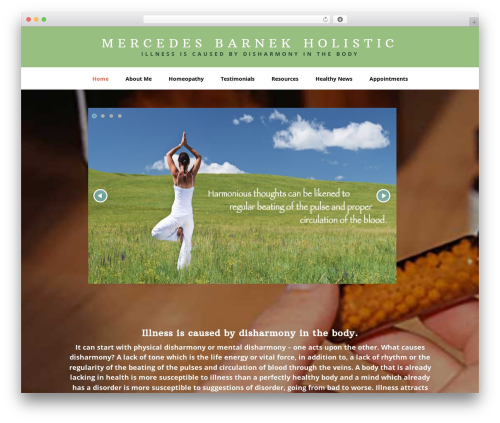 Slider WordPress plugin - mercedesbarnekholistic.com