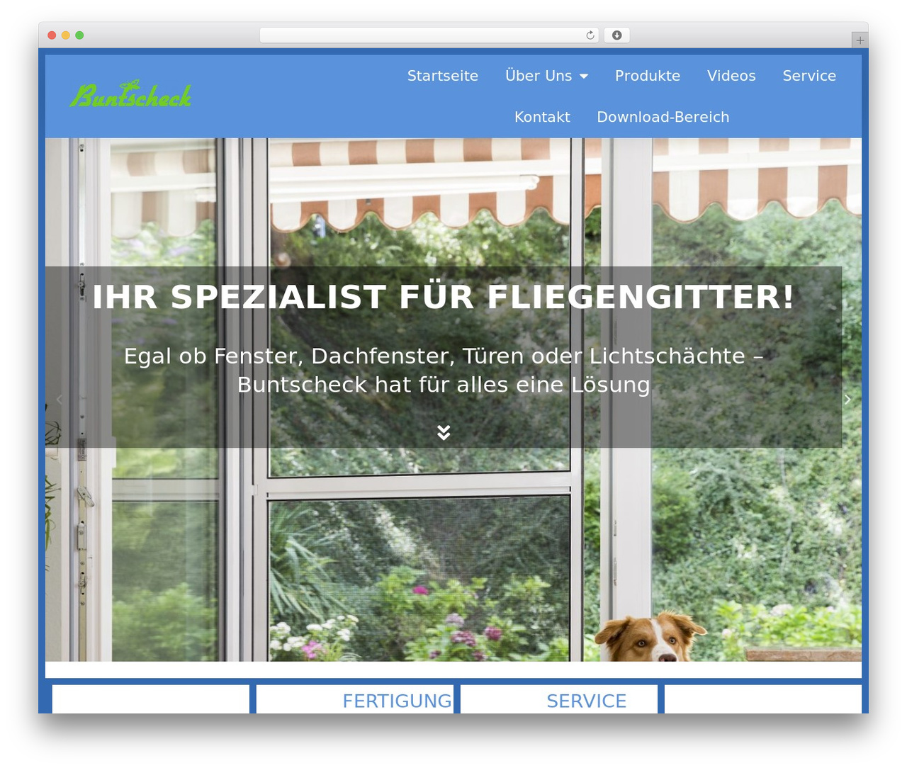 Hello Elementor WordPress theme design - fliegengitter-buntscheck.de