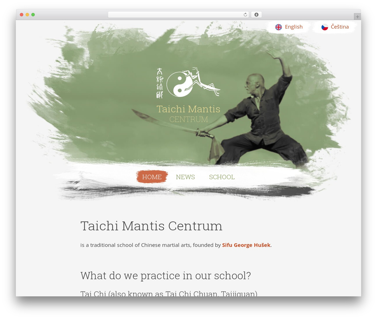 Mantis WordPress theme - mantiskungfu.cz Mantis WordPress theme - mantiskungfu.cz