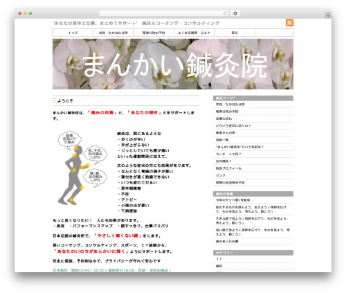 Sample Theme best WordPress theme - mankai3.com