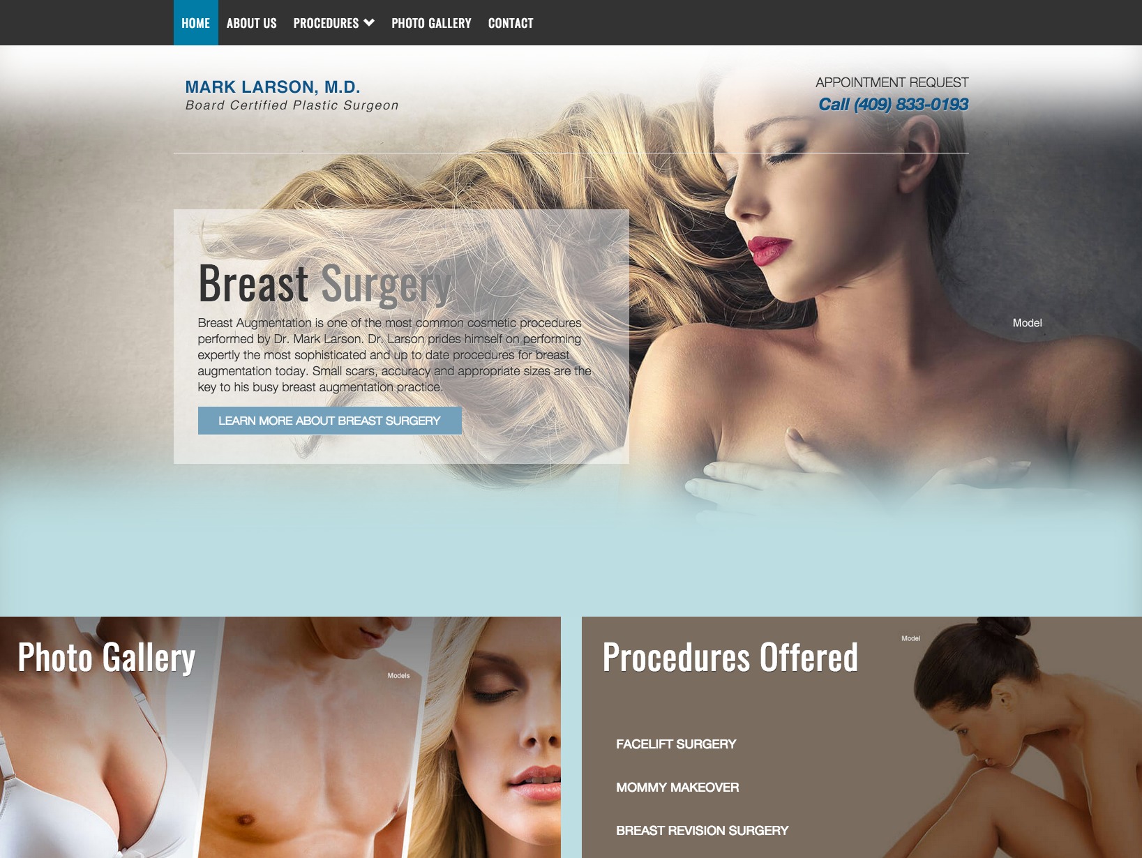 Starter Theme v2 WordPress theme design by Plastic Surgery Studios