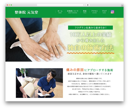 Themify Basic theme WordPress - seitai-genkidou.com