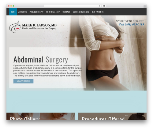 WordPress theme Starter Theme v2 - mdlarson.com