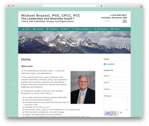 Si contact form WordPress plugin - michaelbrazzel.com