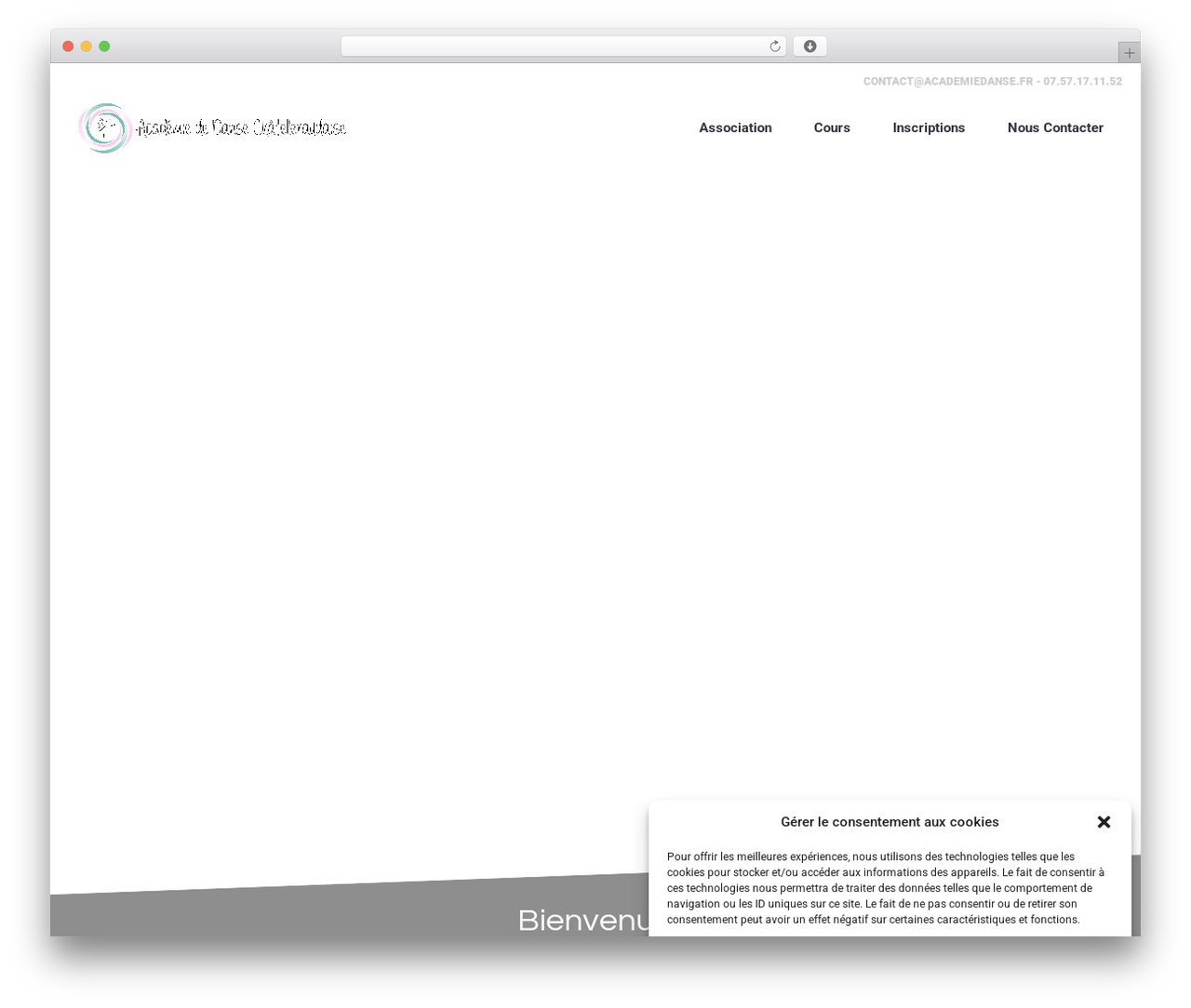 Dance Studio WordPress theme - academiedansechatellerault.fr
