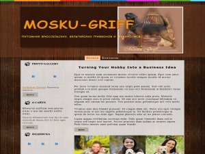 mg9 WordPress theme mg9 WordPress theme