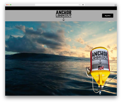 Elementorpro3171n WordPress plugin - anchorlookout.com