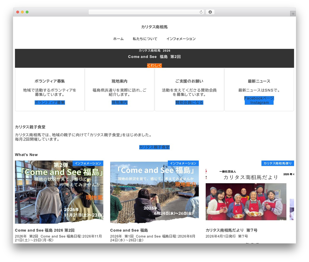 Snow Monkey WordPress website theme - caritasms.com