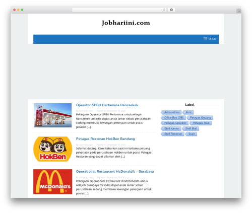 Superfast WordPress theme design - jobhariini.com