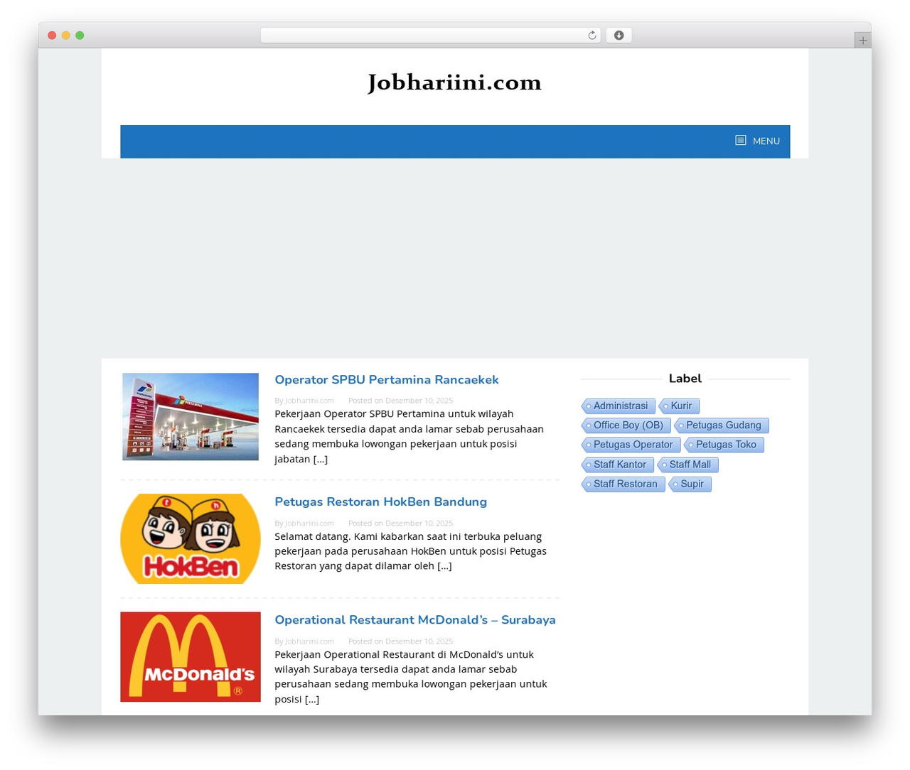Superfast WordPress theme design - jobhariini.com